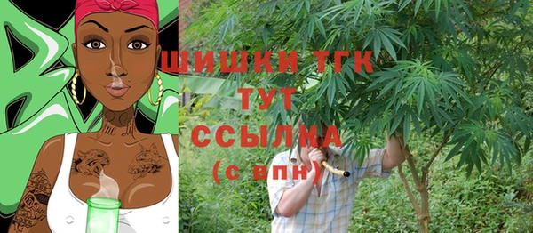 винт Нягань