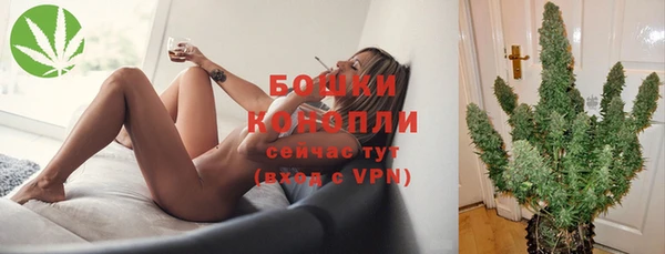 ПСИЛОЦИБИНОВЫЕ ГРИБЫ Няндома