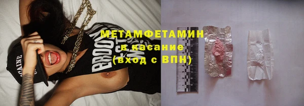 ПСИЛОЦИБИНОВЫЕ ГРИБЫ Няндома