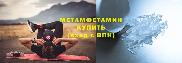 ПСИЛОЦИБИНОВЫЕ ГРИБЫ Няндома