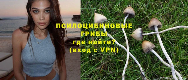 ПСИЛОЦИБИНОВЫЕ ГРИБЫ Няндома