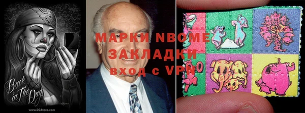 ПСИЛОЦИБИНОВЫЕ ГРИБЫ Няндома