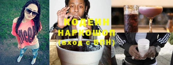 ПСИЛОЦИБИНОВЫЕ ГРИБЫ Няндома