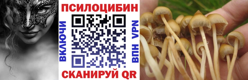 наркошоп  Тольятти  Галлюциногенные грибы MAGIC MUSHROOMS 