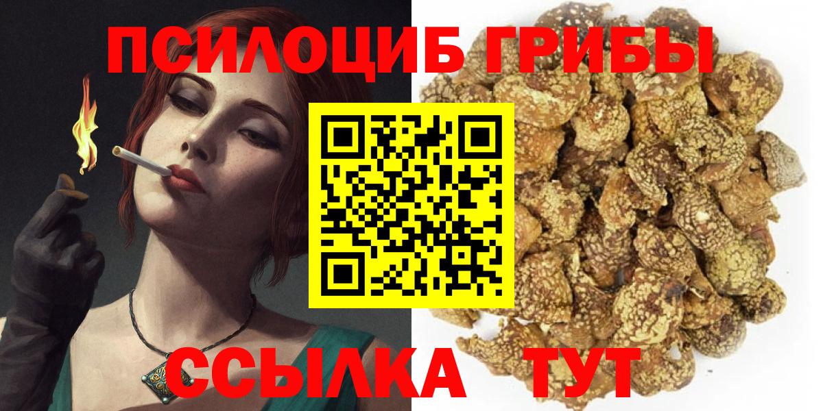 Псилоцибиновые грибы GOLDEN TEACHER  Вход с VPN  Тольятти 